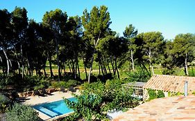 Les Pieds Tanques - Chambres D'Hotes - Calanque A Pieds